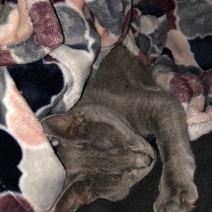 Meet your Posher, Lauren